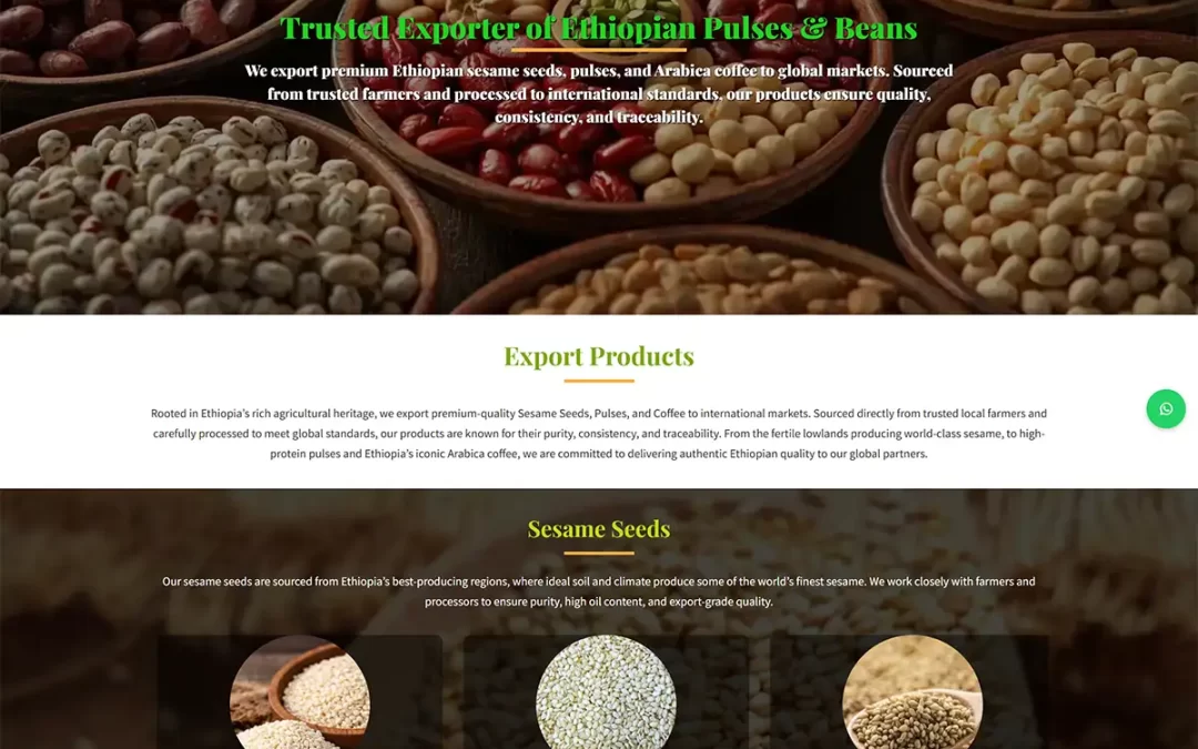 VAX Impex: Coffee and Oil Seed Exporter Website Development Project